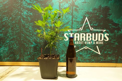 Starbuds Handels OG