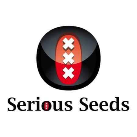 Starbuds Handels OG - Saatgut