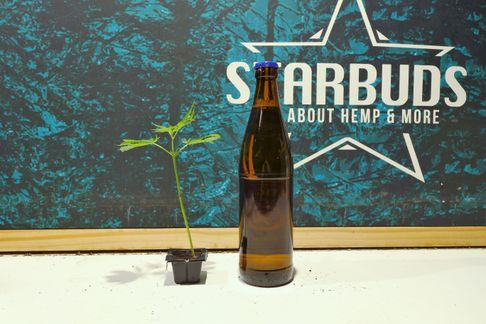 Starbuds Handels OG