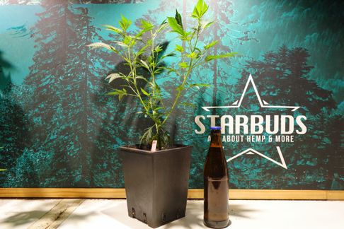 Starbuds Handels OG
